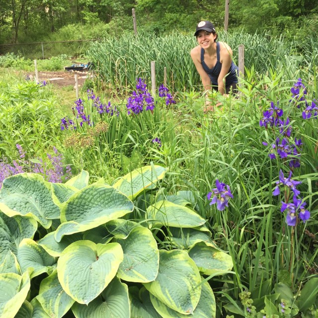 File Jun 05, 7 30 07 PM